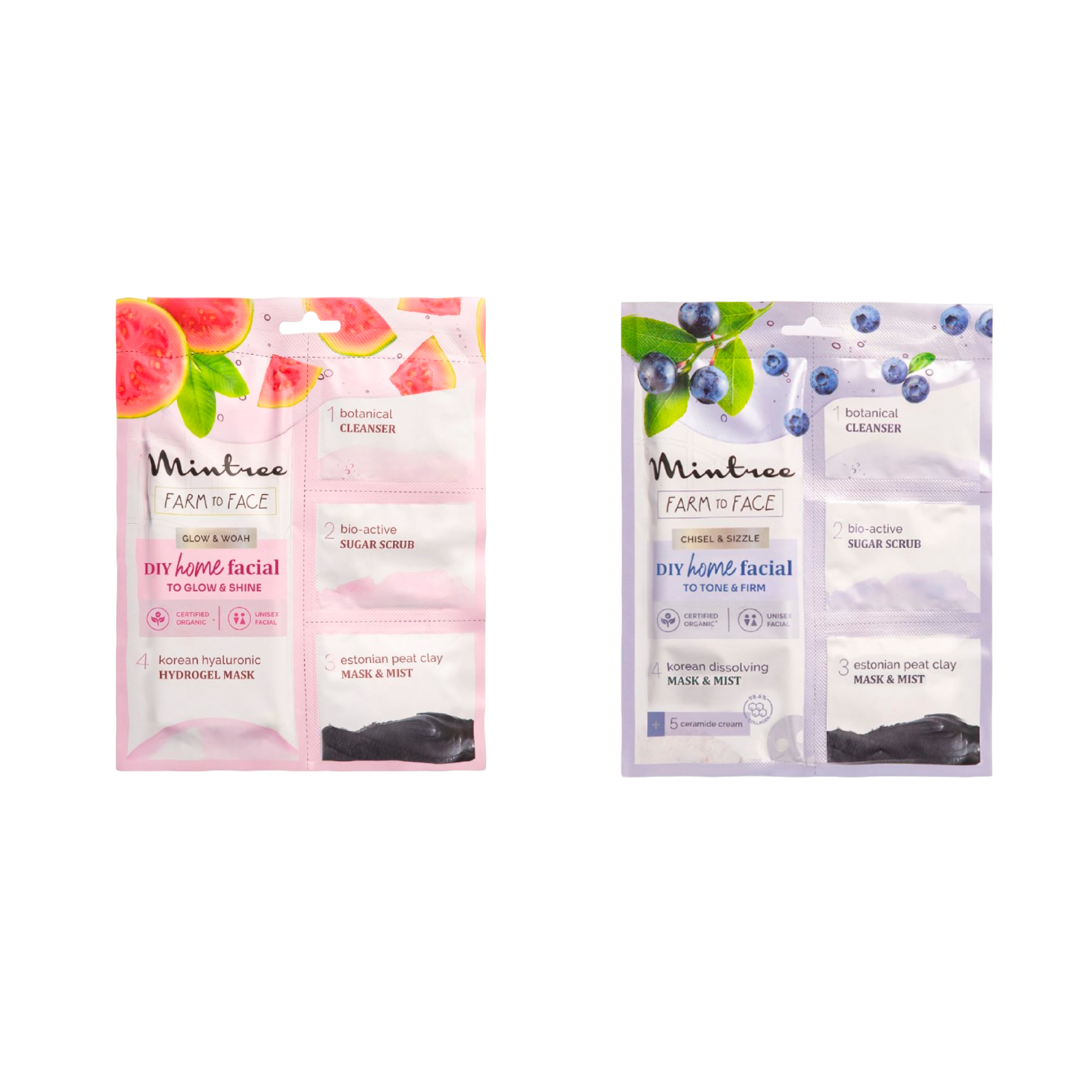 Blueberry & Guava DIY Facial