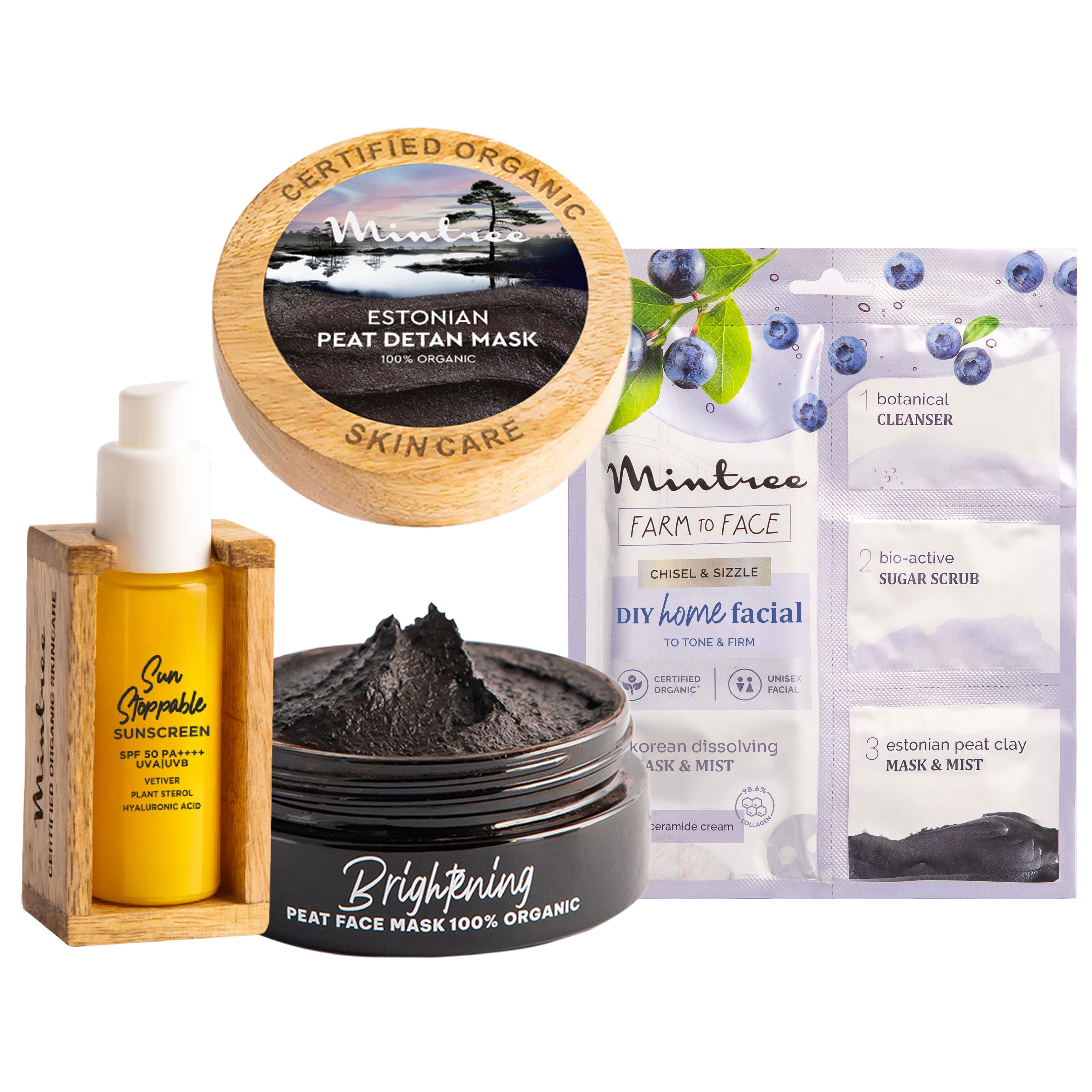 Sunscreen, Black Mask & Blueberry Home Facial Kit