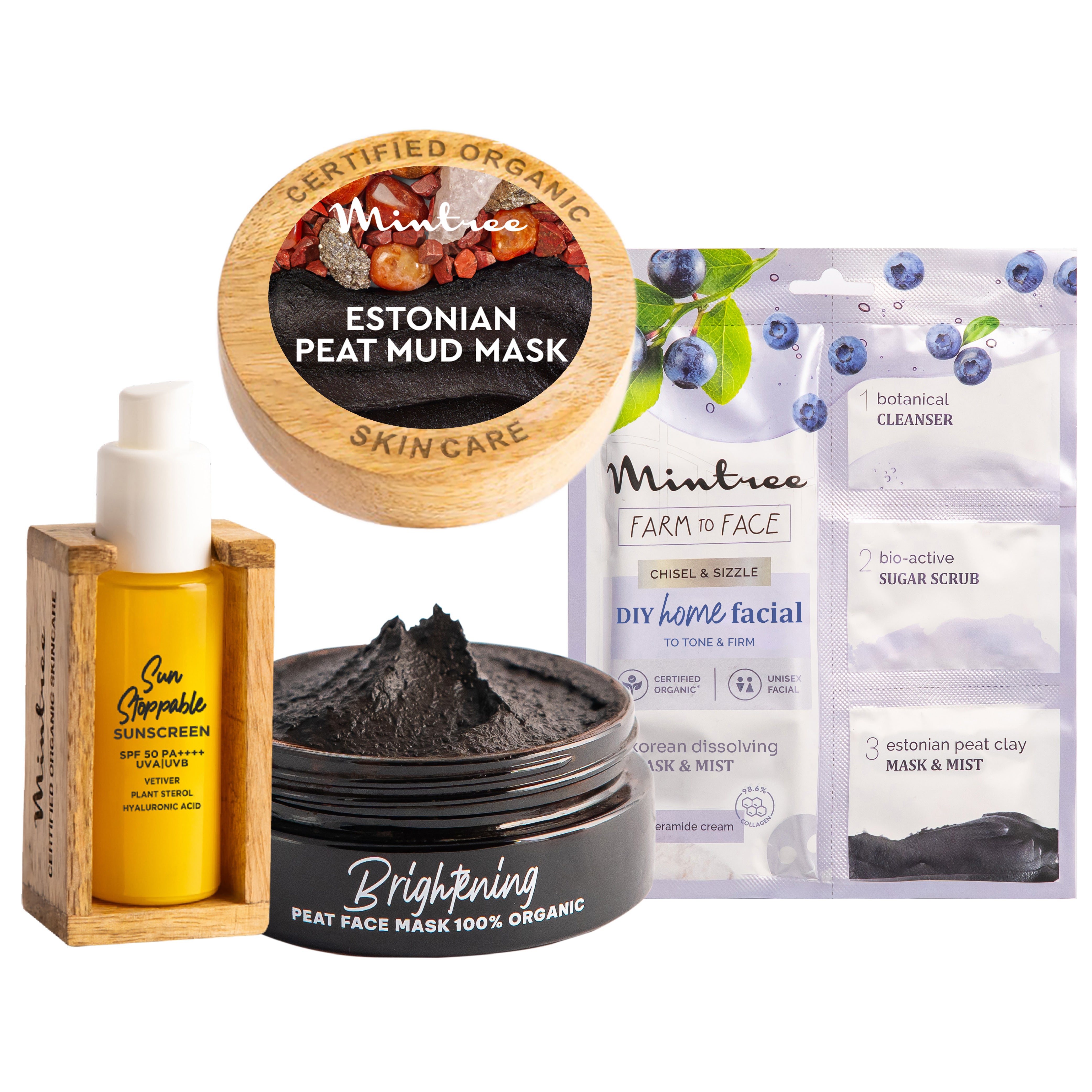 Sunscreen, Black Mask & Blueberry Home Facial Kit