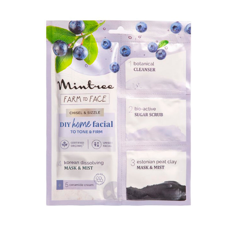Firming DIY Home Facial Kit (Blueberry)
