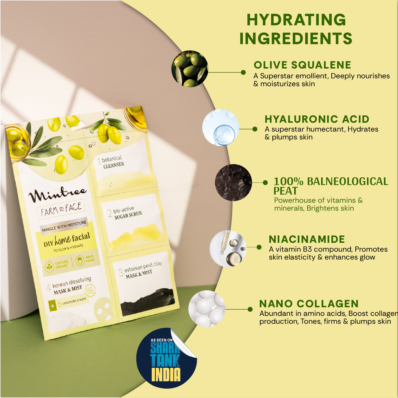 MOISTURIZING DIY Home Facial (Olive)