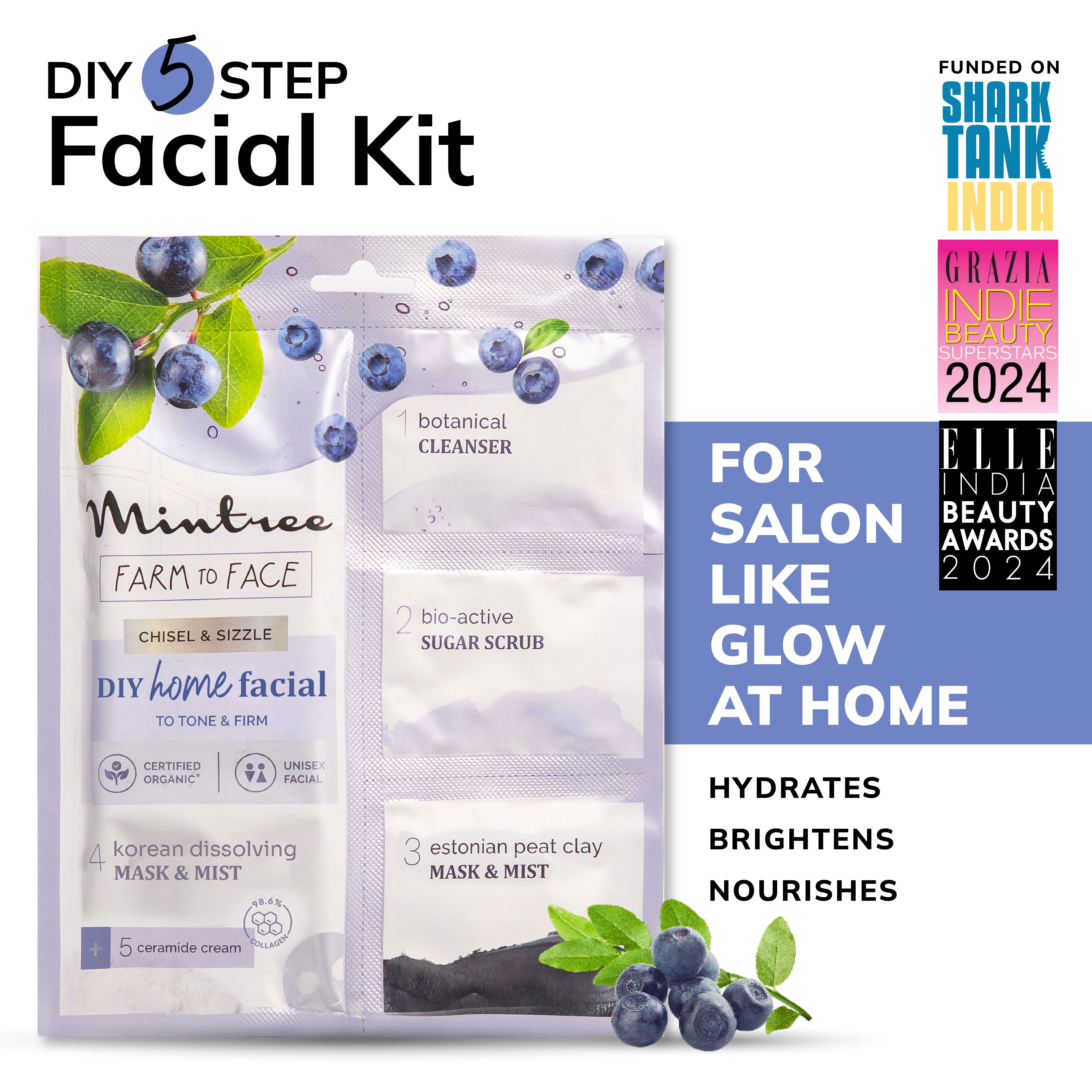 Firming DIY Home Facial Kit (Blueberry)