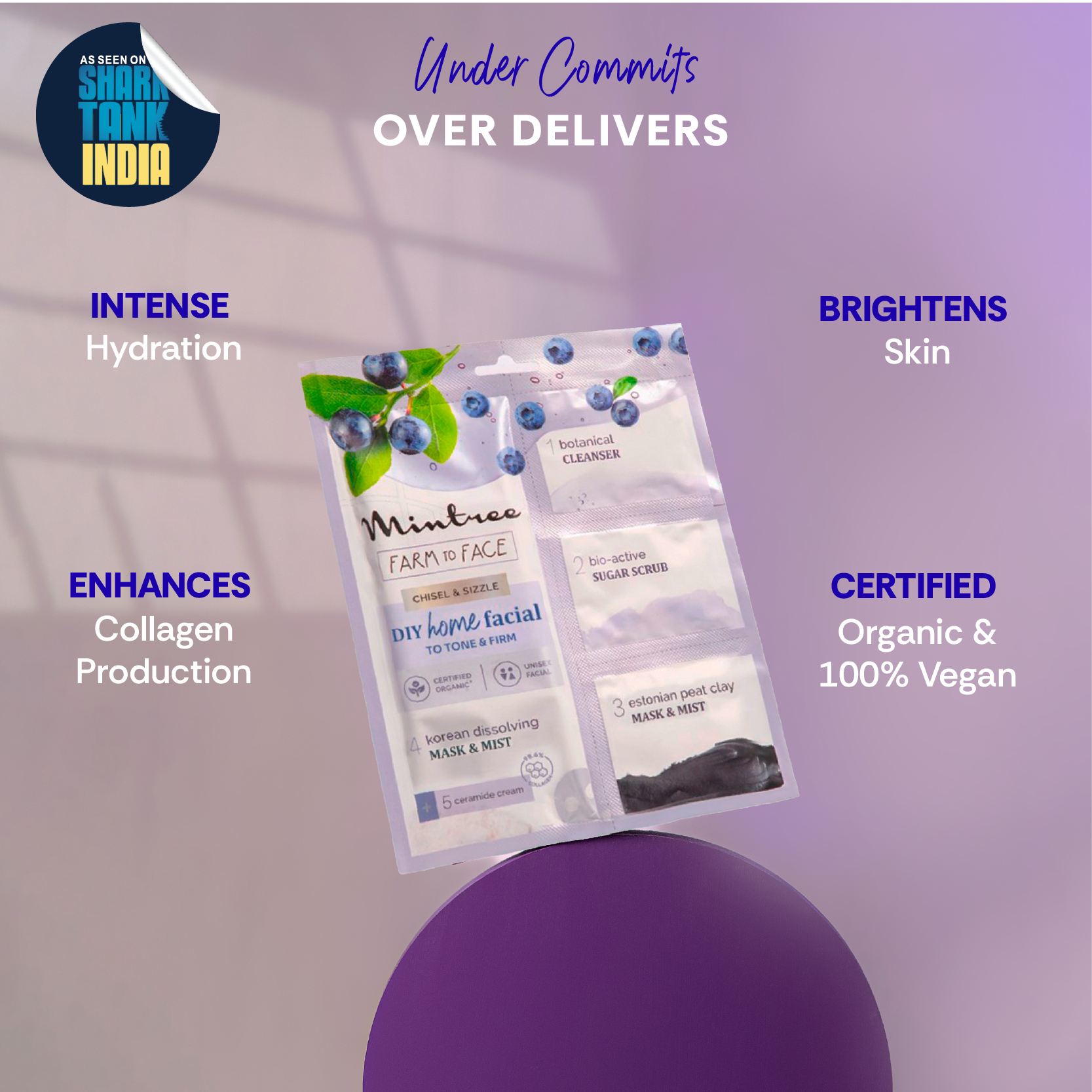 Firming DIY Home Facial Kit (Blueberry)