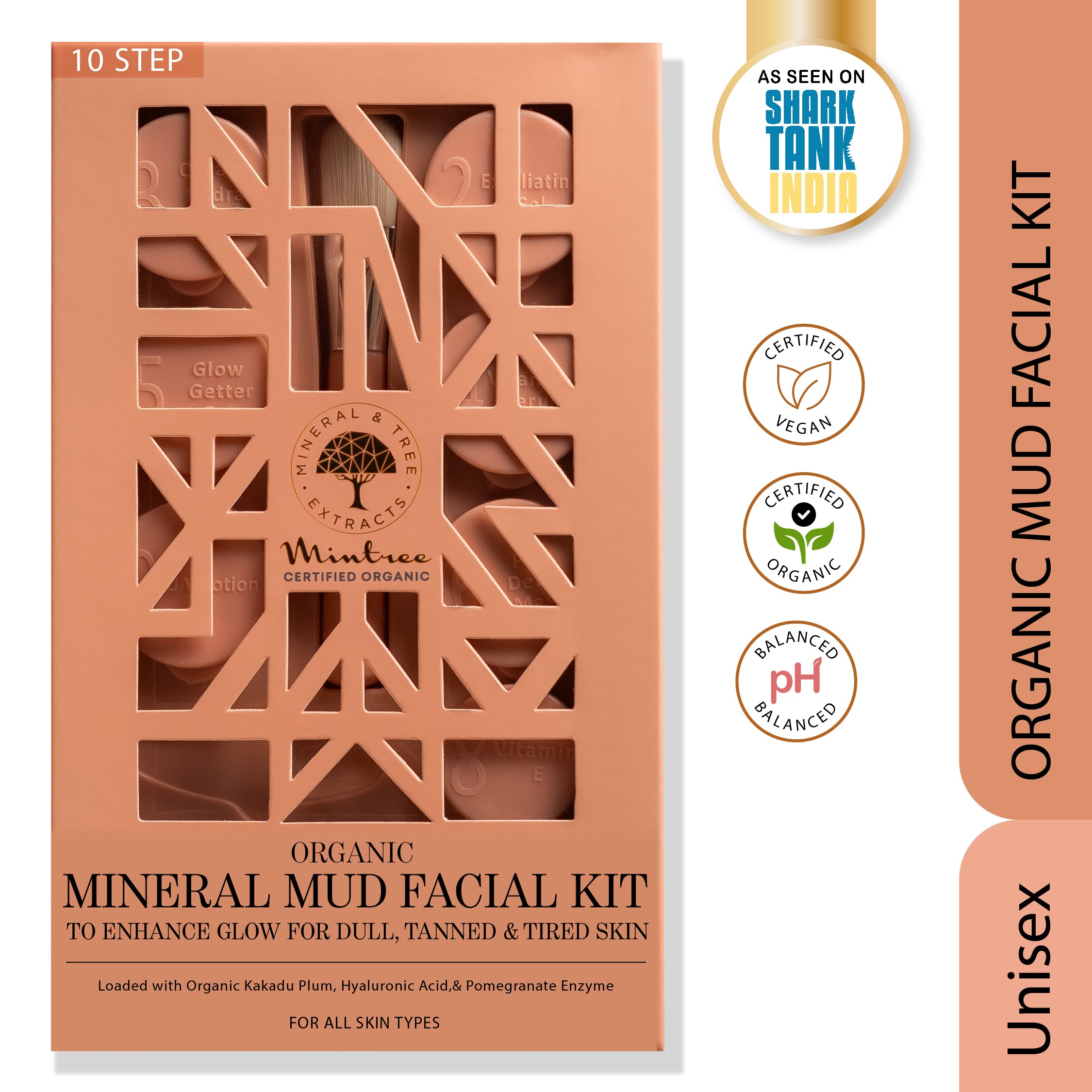 FACIAL KIT <br> MINERAL MUD