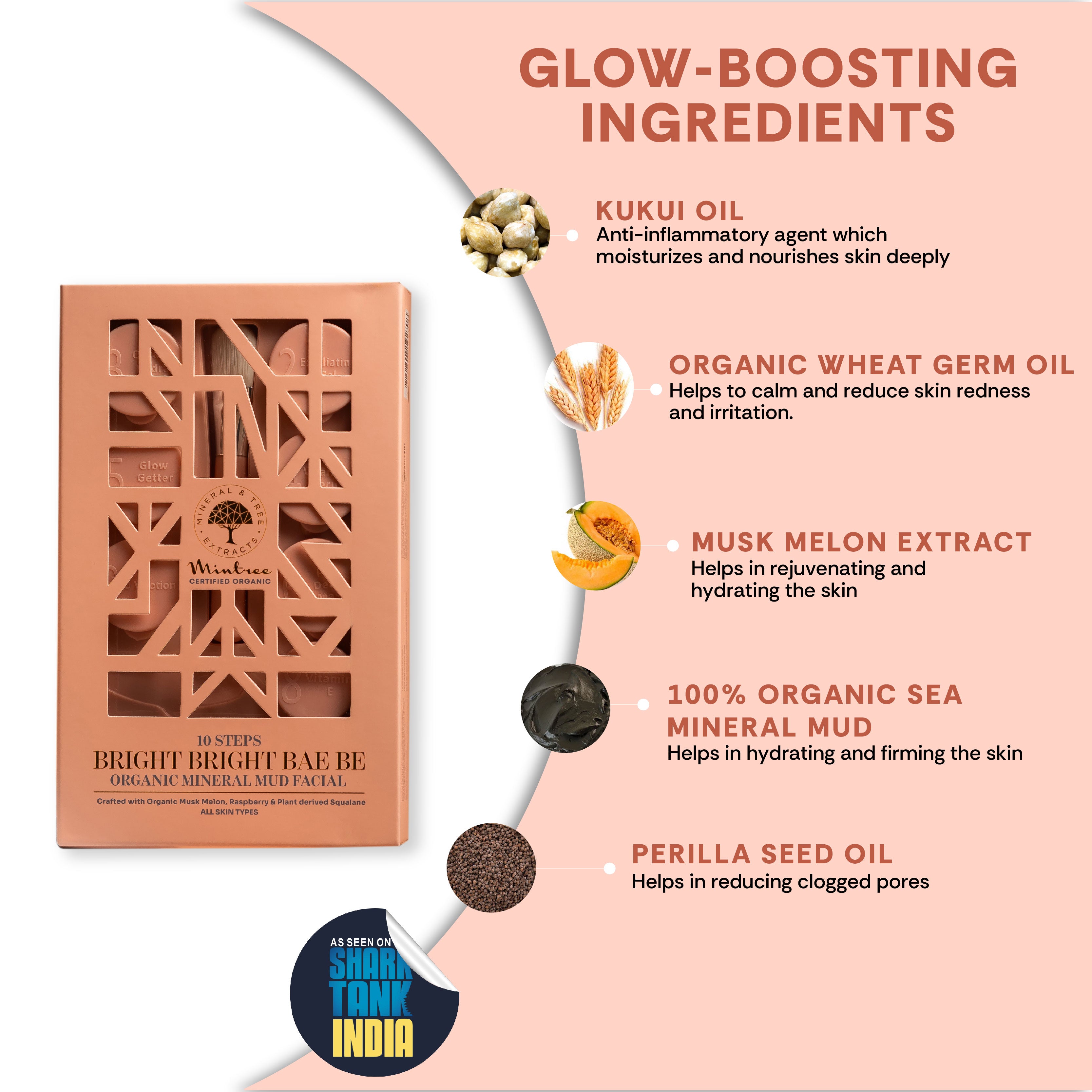 FACIAL KIT <br> MINERAL MUD