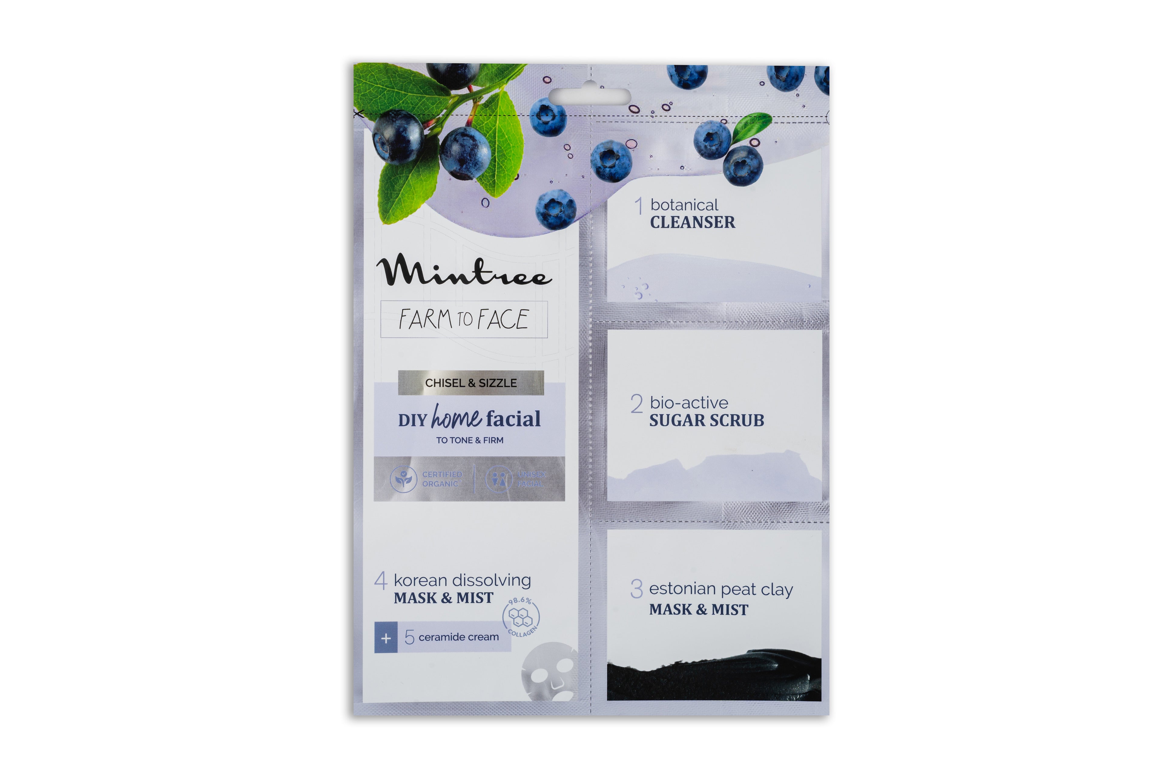 Firming DIY Home Facial Kit (Blueberry)